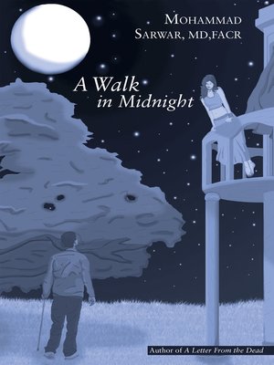 cover image of A Walk in Midnight